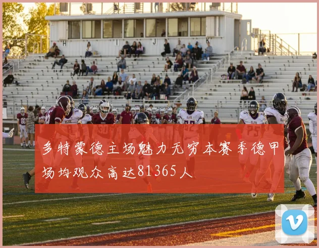 多特蒙德主场魅力无穷本赛季德甲场均观众高达81365人
