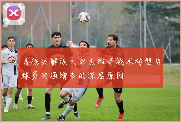 马德兴解读久尔杰维奇战术转型与球员沟通增多的深层原因