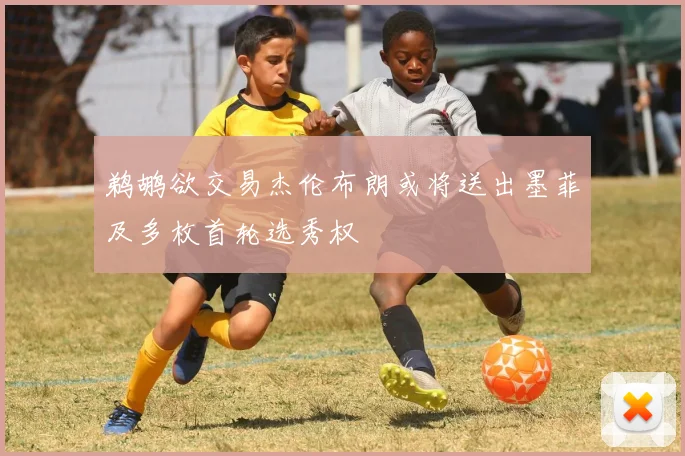 鹈鹕欲交易杰伦布朗或将送出墨菲及多枚首轮选秀权